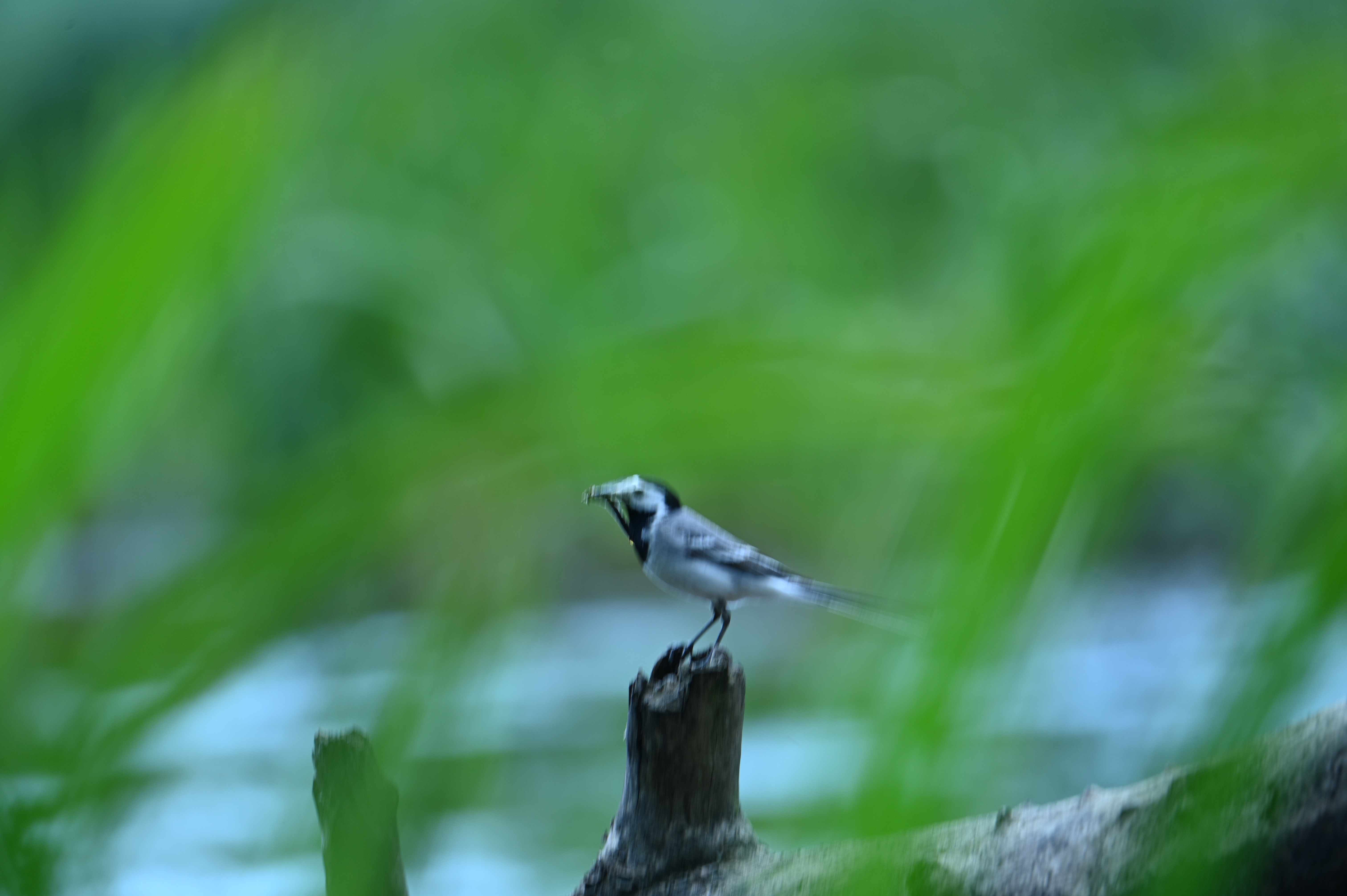 2025/07/09-14 - trip/DSC_0432.JPG